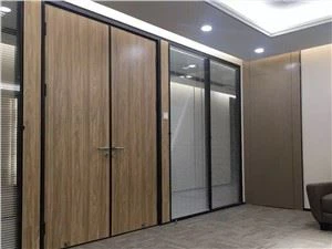 Double Leaf Glass Partition Door
