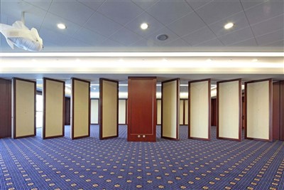 Mezzanine Plywood Folding Partition Wall